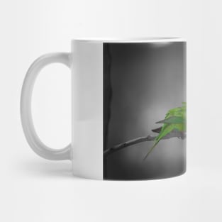 Rainbow Lorikeet_5159A Mug